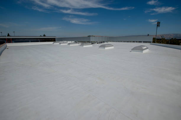 Best Rubber Roofing (EPDM, TPO)  in Bonner Springs, KS